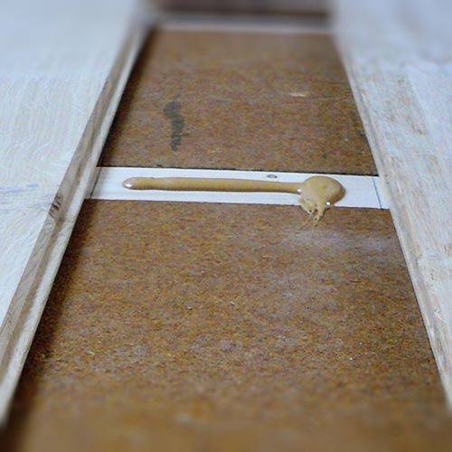 Fiber Wood FiberTherm Floor dry screed